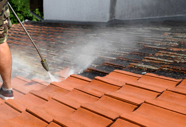Best Exterior Home Cleaning  in Columbia, MO